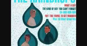 The Raindrops - THE KIND OF BOY YOU CAN'T FORGET