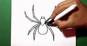 🟡 Como Dibujar una ARAÑA Grande - How to Draw a big SPIDER Easily - Easy Art