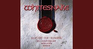 Slip of the Tongue (2019 Remaster)