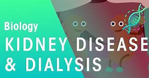 Kidney Disease and Dialysis | Health | Biology | FuseSchool