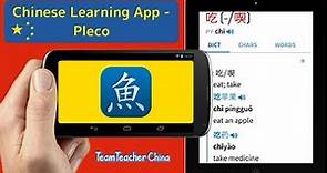 Pleco Chinese Dictionary: Learn Chinese App | How To Learn Mandarin