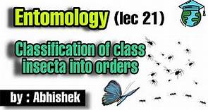 Classification of class insecta into order lec 21 • Go For Agriculture Education #icar #bhu #ibps