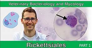 Rickettsiales (Part 1) - Veterinary Bacteriology and Mycology