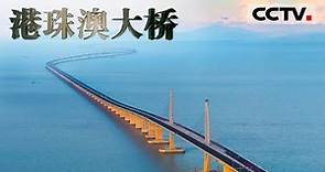 《港珠澳大桥》 一座伶仃洋上的巨龙横空出世 港珠澳大桥点燃了中国人的信心和梦想！【CCTV纪录】
