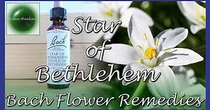 Star of Bethlehem (for Shock) (Bach Flower Remedies) (Green Healing S3E43)