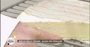 Brie de Meaux fermier : baron des fromages