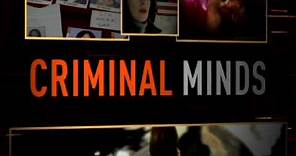 Criminal Minds Season 2 DVD Trailer