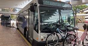 Riding Broward County Transit Bus 101, Broward Central Terminal to Aventura Mall, Gillig BRT 40'