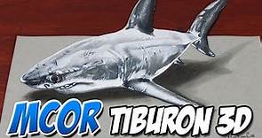 Dibujando un Tiburon en 3D