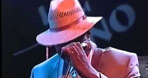 Magic Slim & The Teardrops, "Gotta Love Somebody" (1995)