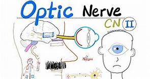 Optic Nerve & Visual Pathway | Cranial Nerve 2 (CN II) | Neuroanatomy Series