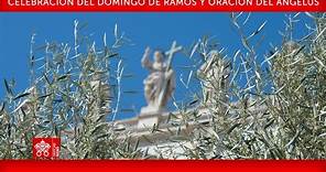 Celebración del Domingo de Ramos, Oración del Ángelus, 24 de marzo de 2024 Papa Francisco