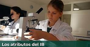 Los atributos del PYP | Bachillerato Internacional (IB) | Colegio Orvalle