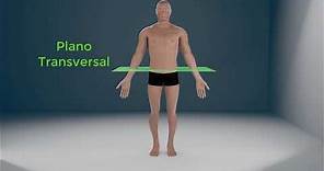 Posición anatómica, planos y ejes del cuerpo humano