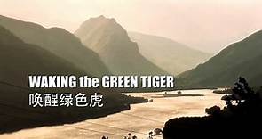 喚醒綠色虎 Waking the Green Tiger, Chinese version