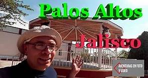 Palos Altos, Jalisco