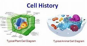 Cell History (old version)