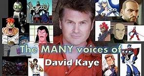 The MANY Voices of - David Kaye