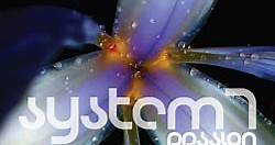 System 7 - Passion
