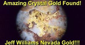 Amazing Crystalline Gold Found In Nevada From Jeff Williams Gold Mine!