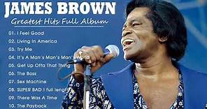 James Brown Greatest Hits | Best Songs of James Brown | Full Album James Brown