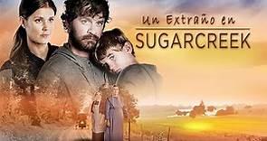 Un Extraño en Sugarcreek (2014) Pelicula Completa