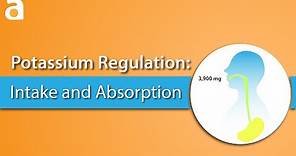 Potassium Regulation: Intake and Absorption