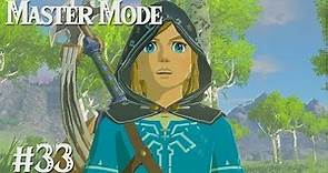 MEMORIES: Zelda BotW MASTER MODE #33