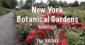 Walkthrough of the New York Botanical Gardens - The Bronx