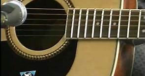 Washburn D-10S Acoustic Guitar