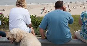 Beaches in Massachusetts for Dogs