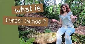 What is Forest School? 7 Things you need to know as an Introduction to Forest School