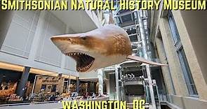 Smithsonian Natural History Museum Tour - Washington, DC