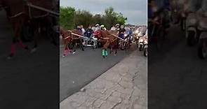 Corsa clandestina cavalli Paternò