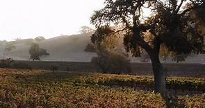 Wine Country: Visit Santa Barbara