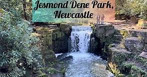 Jesmond Dene Park, Newcastle | Dreamy Destinations UK