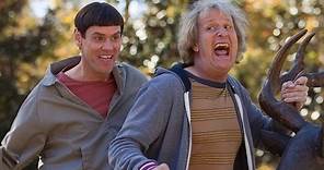 Dumb and Dumber To - Review