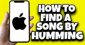 How To Find Song By Humming On iPhone (Easy)