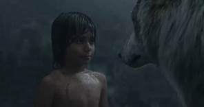 Il Libro della Giungla - Mowgli lascia il branco - Clip dal film | HD