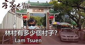 林村 - 許願樹的來源及林村的歷史『香港客家村』 Lam Tsuen - The history of the wishing tree and Lam Tsuen