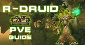 How to sucessfully start as RESTORATION Druid in TBC // TBC Classic Restoration Druid PvE Guide