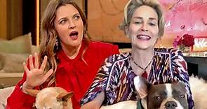 Sharon Stone Shares Her Views on Dating and Romance | The Drew Barrymore Show
