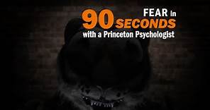 Fear explained in 90 seconds