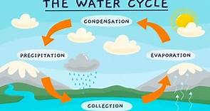 WATER CYCLE💧| The water cycle process | Easy science video