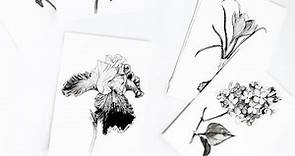 31 flower paintings art tour · Ink drawings showcase · black and white flowers by Anna Farba