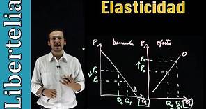 Que es la elasticidad | Elasticidades | Microeconomía | Libertelia