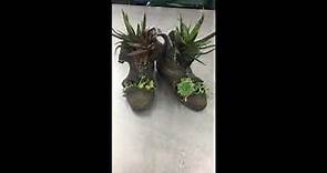 Cowboy Boot Succulent Planter- give your well-loved boots new life