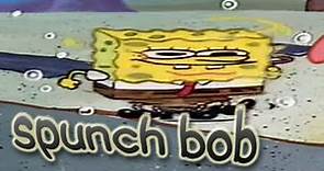 spunch bob funny memes