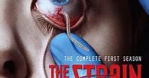 The Strain Season 1 - watch full episodes streaming online