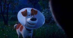 The Secret Life of Pets 2 Rooster Trailer